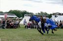 Filename=MPS_2017_048.jpg
Filesize=113KiB
Dimensions=600x400
Date added=Sep 10, 2017 MPS_2017_048.jpg