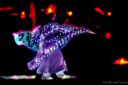 Filename=MPS_2017_059.jpg
Filesize=52KiB
Dimensions=600x400
Date added=Sep 10, 2017 MPS_2017_059.jpg