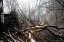 Spreepark_2014_0015.jpg